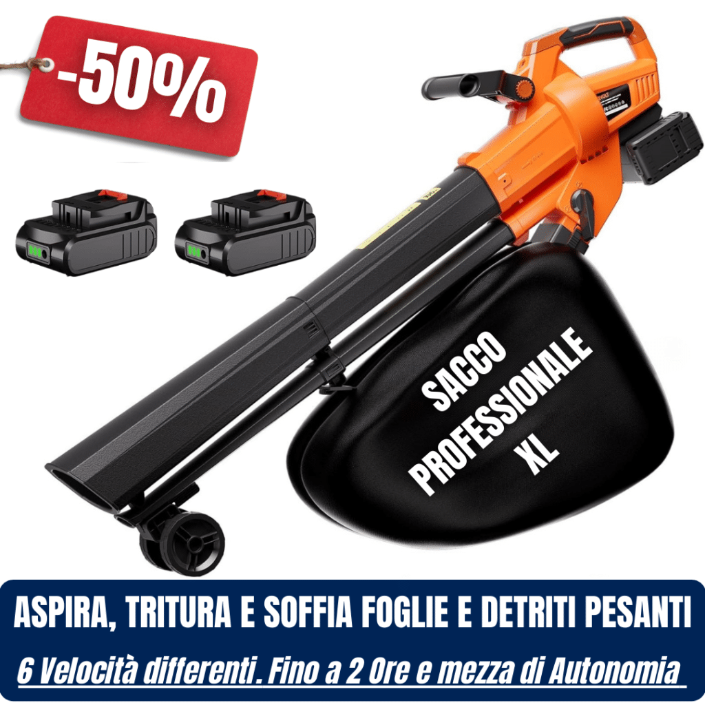 Aspiratore Soffiatore Ricaricabile